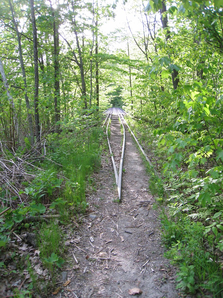Tilton NH Rail Trail 2010 0160.jpg - Winnipesaukee River Trail, Franklin New HampshireTrestle View ParkInterested in taking a walk or bike ride on a scenic historic trail close to the downtowns of the twin rivers area, yet with the feel of wilderness. A 3 mile trail parallels the Winnipesauke river and passes the historic Sulphite upside down covered bridge believed to be the only one in the country and listed on the national register of historic places. You will also view mill ruins and remaining portions of dams that tell the history of the 5 mills that operated on this river in the mid 19th century.